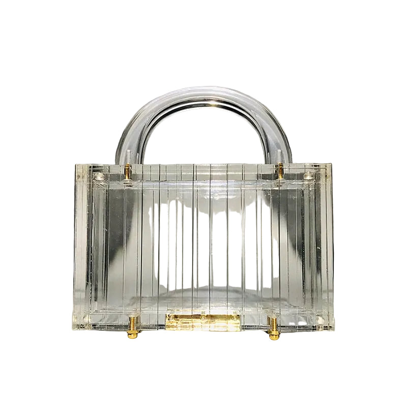 The Acrylic Clear Clutch