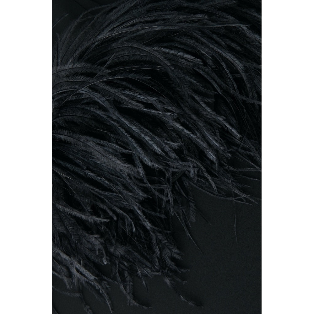 The Black Ostrich Feather Dress