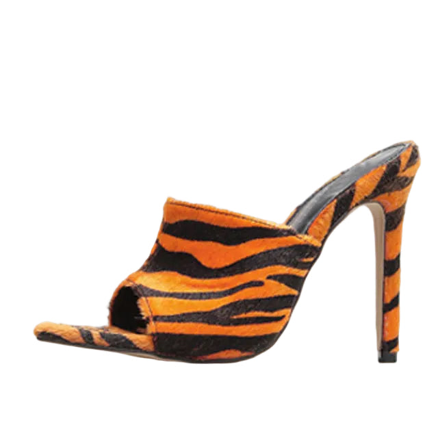 The Zebra Slipper